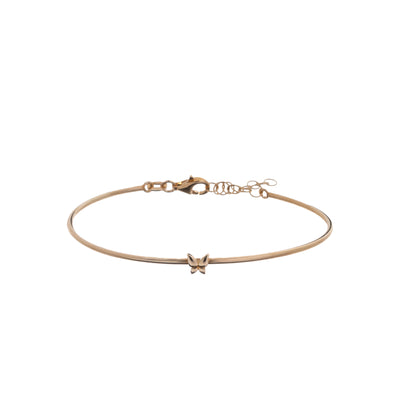 Papillon Circle